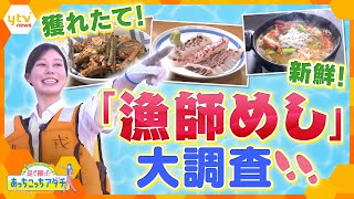 『獲れたて！新鮮！漁師さんの朝ごはんを調査』深夜に行われる漁に密着し、仕事を終えた後の朝ごはんを調査します！【かんさい情報ネット ten.あっちこっちアダチ】