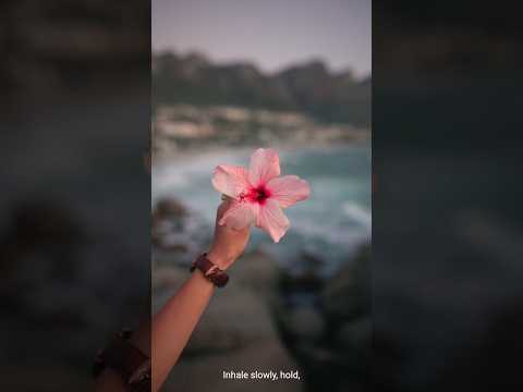 How to do Meditation in proper way ? #meditation #mindfulness #peace #presentmoment
