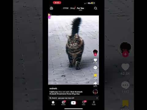 ￼ I love this cat edit ￼