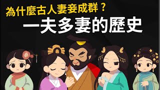 一夫多妻是人類的本能? 古人為什麼要三妻四妾 【納妾的歷史】