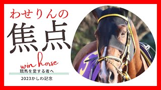 注目馬について。#2023年かしわ記念