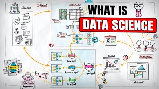 What Data Scientists Actually Do in 2025 (Full Breakdown)