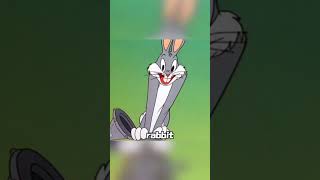 #shorts #animation#cartoon What Mysterious Thing Enticed the Space - Shy Rabbit?