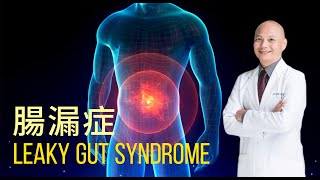 吃的食物竟會造成腦部退化⁉️腸漏症的影響比你想的還大｜腸漏症改善策略｜腦霧、自體免疫、關節炎