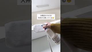 パストリーゼ活用法4選
