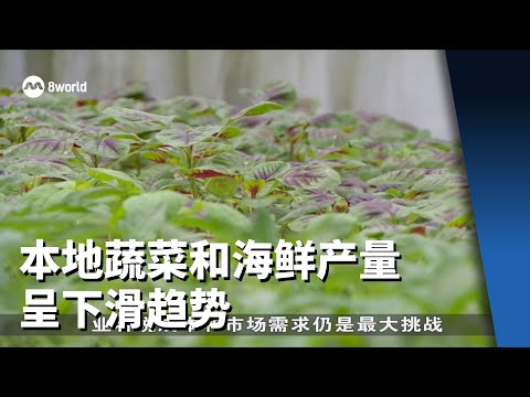 本地蔬菜和海鲜产量呈下滑趋势 海鲜产量达十年来最低水平