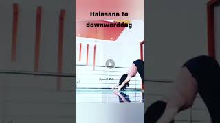 Halasana to downworddog transition.#yoga#fitness #weightloss #motivation #explore#trending #viralyt