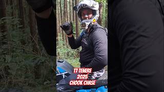 T7 TENERE 2025 KENILWORTH CHOOK CHASE.  QUICK TRACKSIDE CHAT