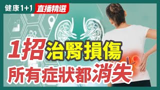 1招治腎損傷  所有症狀都消失 | 健康1+1 · 直播精選