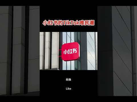 小红书的TikTok难民潮 #金融