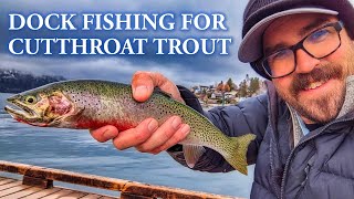 Dock Fishing for Cutthroat Trout [Lake Chelan]