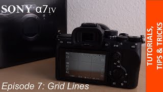 How to activate Grid Lines (Rule of Thirds) in your Sony Alpha 7 IV - Fast & Easy Tutorial