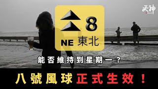 【更新】⚠️九號風球正式生效！颱風「韋帕」會否升級或維持？點解仲有人未feel到有風到？｜2025年7月20日 星期日