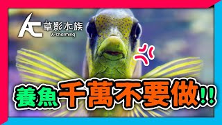 你知道嗎？有一種人，特別容易把魚養死......｜AC草影水族