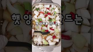 양파 장아찌‼️ '이것' 2가지 넣으면 감칠맛은 올라가고 아삭함은 끝까지 유지 됩니다. #반찬 #장아찌