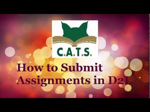 How to Submit Assignments in D2L