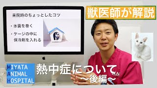 【獣医師解説】犬と猫の熱中症の症状・予防・対策を学ぼう。〜後編〜