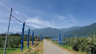 ウェザーリポート動画0819@長野県宮田村10:00