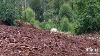 moil rally team testing
