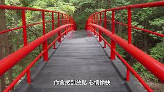 遊玩日本東北岩手縣萬萬不能錯過的景點之一喔。岩泉町 龍泉洞
