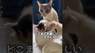 シロさんの育児日記⑥