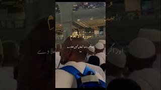 Surah Al-Anaam (Ayat-68) Urdu/Hindi Translation #qurantranslation #urduquran #hindiquran #shortvideo