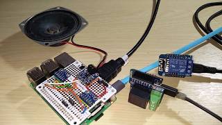 Control Sonoff-Tasmota Devices By Voice Using Google Assistant on Raspberry Pi | GassistPi Update