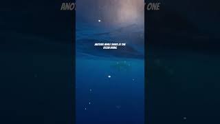 Another Whale Shark Sighting! 🦈 #whaleshark #oneocean #sharkconservation #hawaii #ocean #1