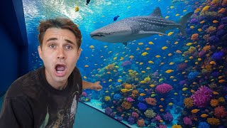 Visiting America’s Largest Aquarium ! (Private Tour)