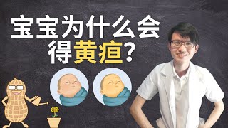 为什么宝宝会有黄疸？|【黄疸】花生健康医药 EP97