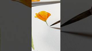 How to Paint a California Poppy | watercolor tutorial | Japanese Calligraphy Liner Brush