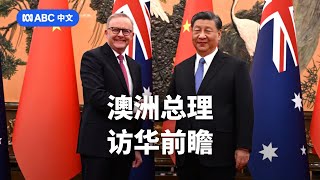 安全、商业与贸易：为何澳洲总理访华备受关注丨7.30丨ABC中文