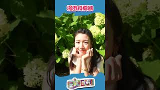 貝遊歐洲 ｜漫遊科莫湖  ｜ 蔡思貝