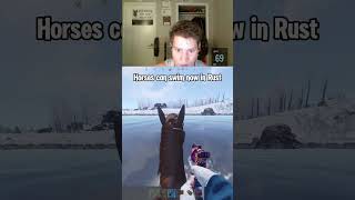 New rust horse update #rust #rustupdate #rustmap #rustforcewipe #rustwipe