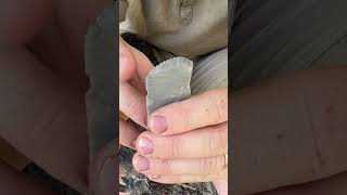 How to tan hides with tree bark part 1 #bushcraft #primitive #survival #sagesmokesurvival
