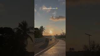 🙂🎀🐼 #lofishorts #lyrics_whatsapp_status #lyricsshorts #song #youtube #ffshorts