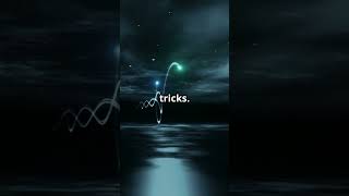 Top 5 Unexplained Phenomena That Will Blow Your Mind! #youtubeshorts #top5 #mindblown