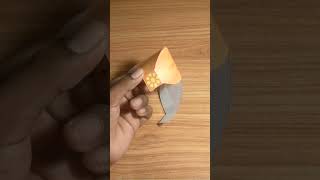 Making Paper Flower// Science Experiment// Tech Sumit// #shorts #viral