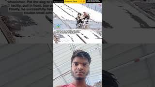 #respect #automobile #funny #sad #violin #music #cover #singer #violinist #amtvhdinfo