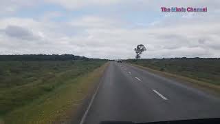 Amazing Place of  New Forest National Park