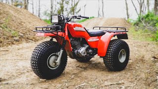 I Found A Survivor.. | 1985 Honda Big Red 250ES!