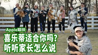 喜乐蒂适合你吗？听听家长怎么说