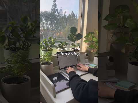 Exam week study vlog, wish me luck