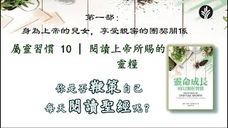 【靈命成長的52個好習慣】 10. 閱讀上帝所賜的靈糧  (粵)