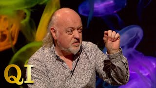 Bill Bailey Runs Britain's Smallest Zoo | QI