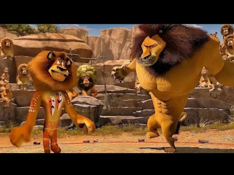 Film|Libaax Daciif Ah Oo Noqdey Boqorka Keynta