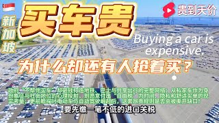 为什么新加坡买车贵到天价，却还有人抢着买？揭秘全球最昂贵车市背后的城市逻辑、身份象征与未来真相！