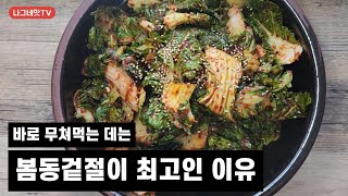 신김치 지겨울때 되셨죠#봄동겉절이