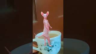 ☕️mememeow 😃 cat meowing #viralcat
