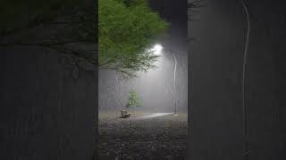 这烟火人间，事事值得，事事也遗憾，那些未与人言或不与人言的记忆，仍鲜活于记忆中，于无声处，于生活里！Everything is worth it, everything is regrettable
